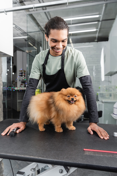 pleased african american man in apron looking at pomeranian spitz on grooming table - Photo, Image