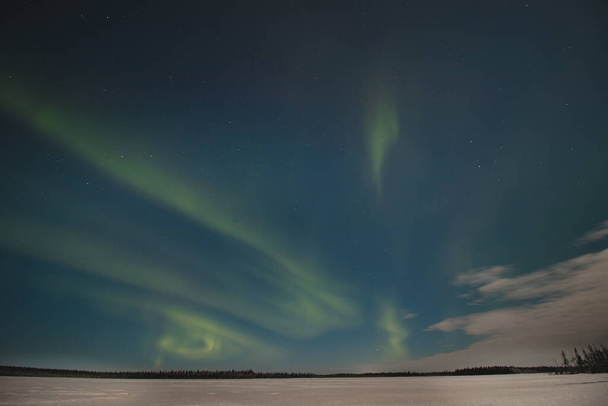 Impresionante aurora boreal verde bailando en el cielo oscuro en Levi, Laponia, norte de Finlandia. Rayas verdes de luces nuclearesdurante el invierno polar en scandinavia. Descubriendo los juegos de palabras de la naturaleza.  - Foto, imagen