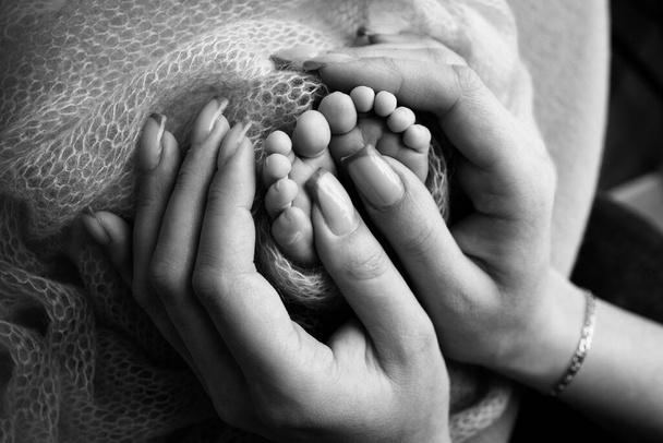 Newborn baby feet in mothers hands. Mom and her child. The parent holds the legs of a newborn child in his hands. Happy family and motherhood concept. Professional macro close-up. Black and white. - Fotoğraf, Görsel