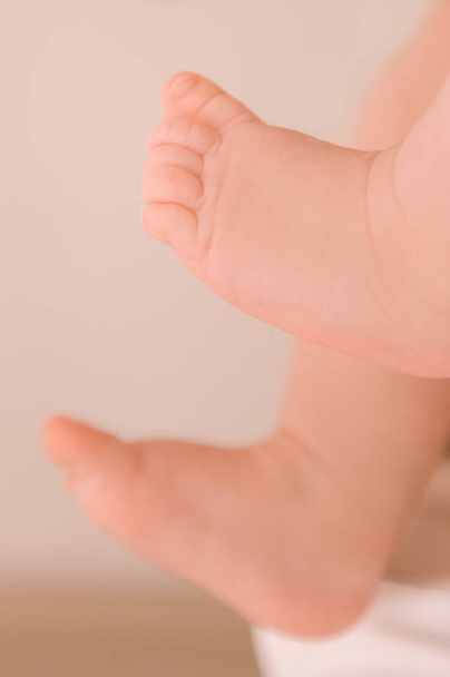Small legs of a newborn girl on a light background - 写真・画像