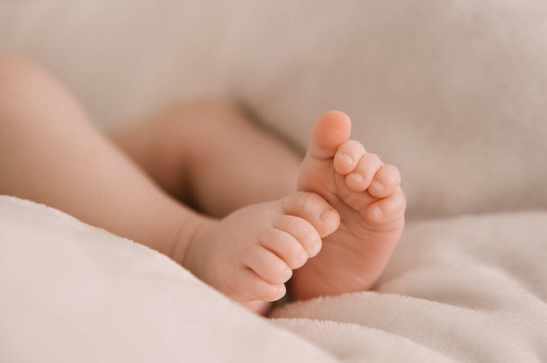 Small legs of a newborn girl on a light background - Фото, изображение