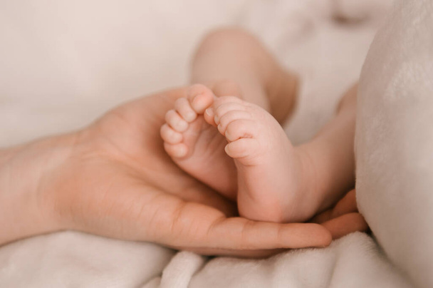 Small legs of a newborn girl in the hand of the pope on a light background - Photo, Image