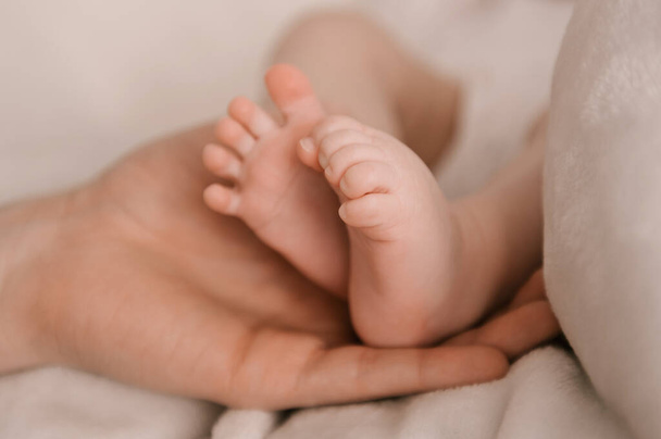 Small legs of a newborn girl in the hand of the pope on a light background - Φωτογραφία, εικόνα