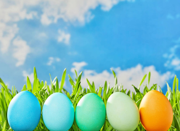 Різнокольоровий ряд яєць у траві
 - Фото, зображення
