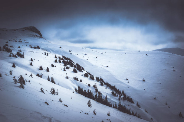 ルーマニアのブエギ山。冬の美しいカルパチア山脈の風景 - 写真・画像