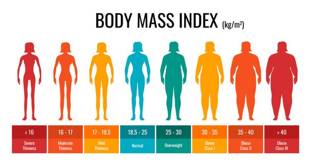 BMI classificatie grafiek meting vrouw set. Vrouwelijke Body Mass Index infographic met gewicht status van ondergewicht tot ernstig obesitas. Medische body mass control grafiek. Vectorillustratie - Vector, afbeelding