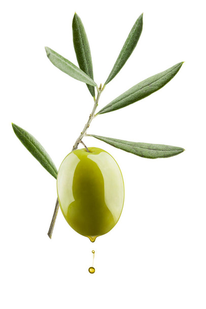Olive branch with green olive dripping oil, isolated on white background - Foto, imagen
