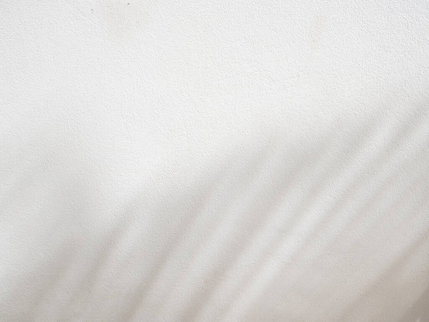 Shdow folha de palma texturizado fundo minimalismo para simular - Foto, Imagem