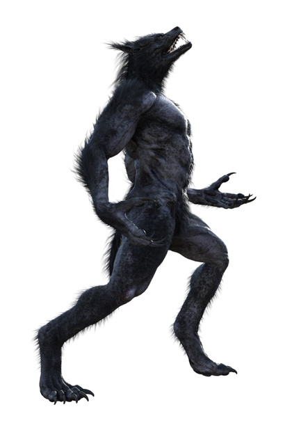 3d ілюстрація чорного вовка
 - Фото, зображення