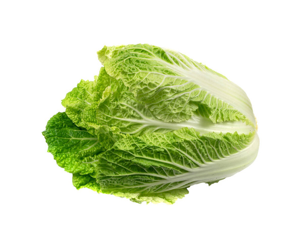 Whole Chinese Cabbage, Napa Cabbage or Wombok Isolated on White Background, Fresh Green Cabbage - Photo, Image