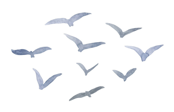 Aquarel kudde vogels illustratie. Handgeschilderde abstracte vliegende zeemeeuwen silhouet geïsoleerd op witte achtergrond. Eenvoudig ontwerp voor kaarten, drukken, landschapsillustraties - Foto, afbeelding