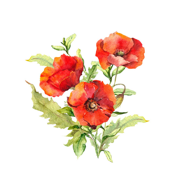 Poppies floral bouquet. Watercolor wild flowers illustration - Foto, immagini