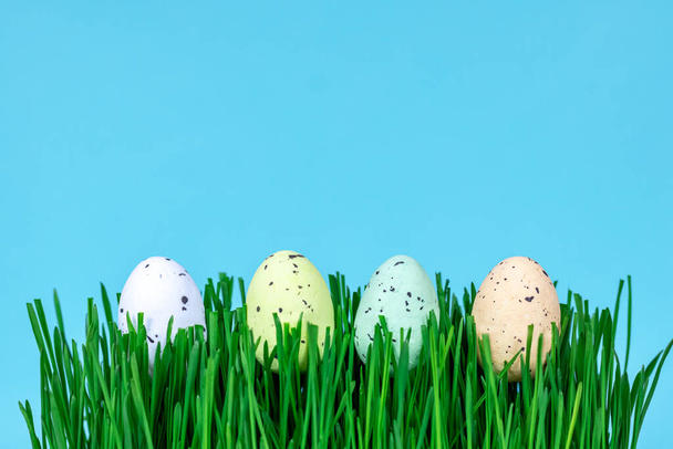 Декоративные пасхальные яйца на зеленой траве крупным планом. Место для текста. - Фото, изображение