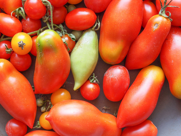 Tomato vegetable - Фото, зображення