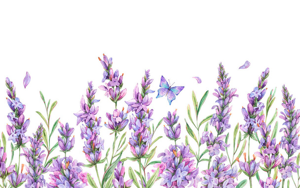 Цветы лаванды с акварелью - Фото, изображение