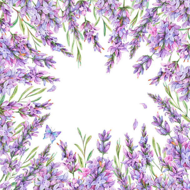 Vesiväri laventeli kukkia luonnollinen seppele vintage tyyli isol - Valokuva, kuva