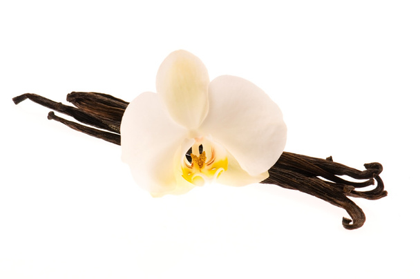 Vanilkové lusky a květina - Fotografie, Obrázek