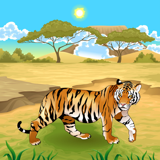 African landscape with tiger. - Vector, Image