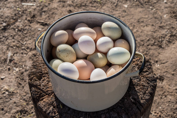 Metal bir tavada bir sürü taze organik tavuk yumurtası, Paskalya için pişirilmeye hazır, yakın plan. - Fotoğraf, Görsel