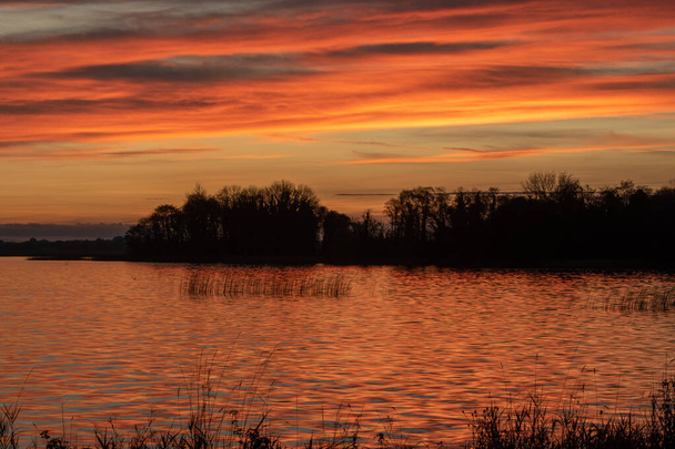 Sunset Χρώματα στη λίμνη στην Ιρλανδία κοντά στην πόλη Mullingar. - Φωτογραφία, εικόνα