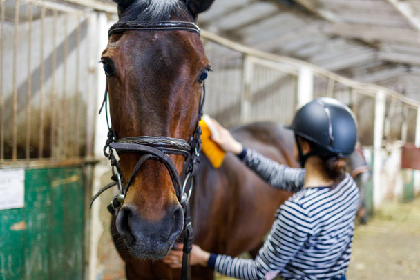 Young girl combing and cleaning her horse at the stable. - Foto, imagen
