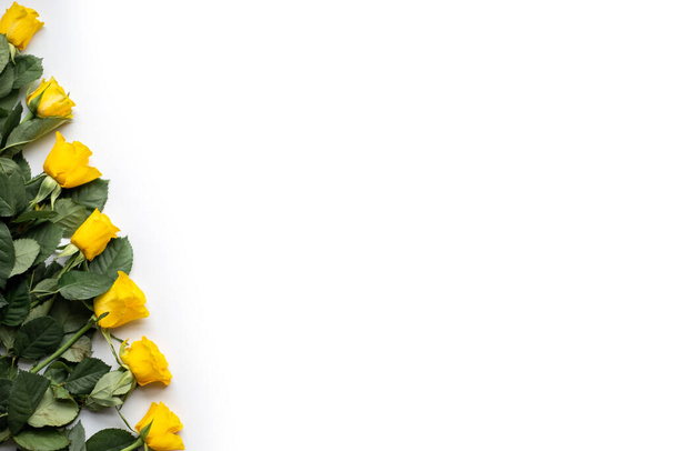yellow roses on a white background. place for text. - Foto, Imagem
