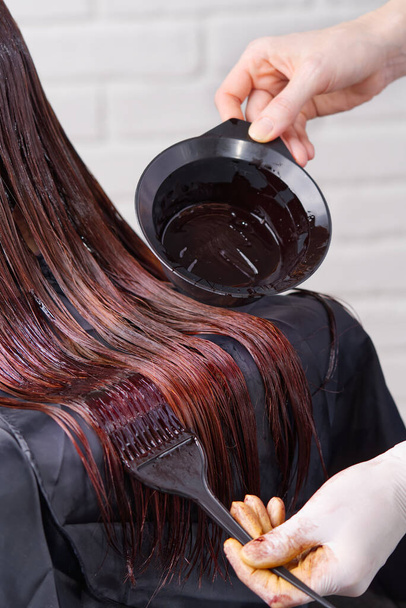 Fryzjer maluje włosy kobietom w ciemnym kolorze, nakłada farbę na włosy. Robię zabiegi kosmetyczne. Barwnik włosów fryzjerskich jest stosowany z pędzlem - Zdjęcie, obraz