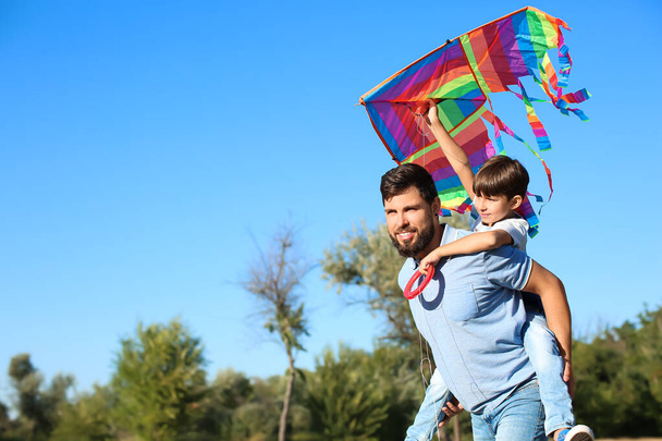 Happy father carrying pickaback his little son with kite in park - Фото, зображення