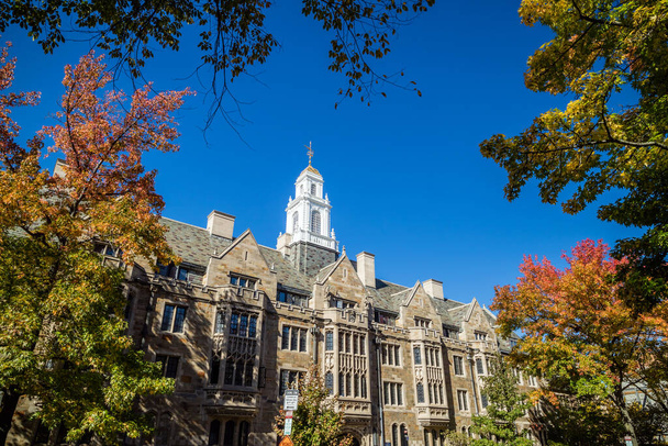 Єльські університетські будівлі восени з блакитним небом у Нью-Гейвені, CT USA - Фото, зображення