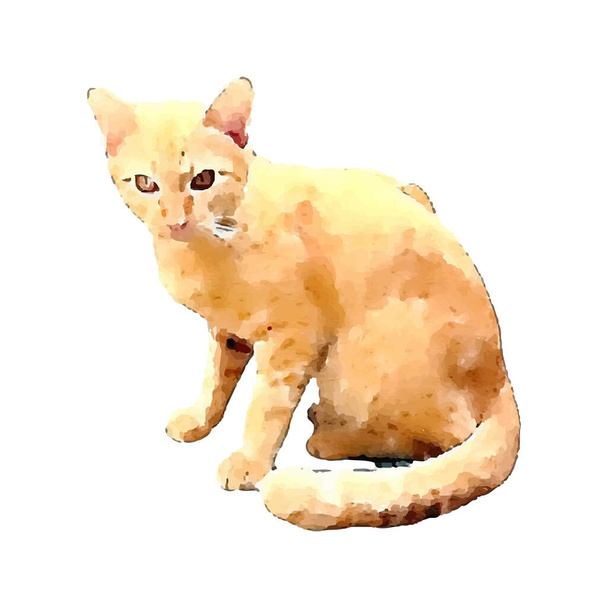 Vesiväri maalaus söpö punainen tabby kissa käsin piirretty lemmikki, kissanpentu maalaus kuvitus, abstrakti harja piirustus märkä paperi. bannerimalli Eristetty valkoisella taustavektorilla Kuvitus - Vektori, kuva