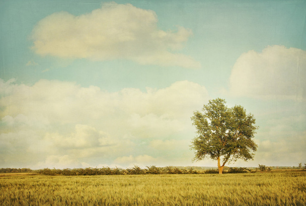 Árvore solitária no prado com olhar vintage
 - Foto, Imagem
