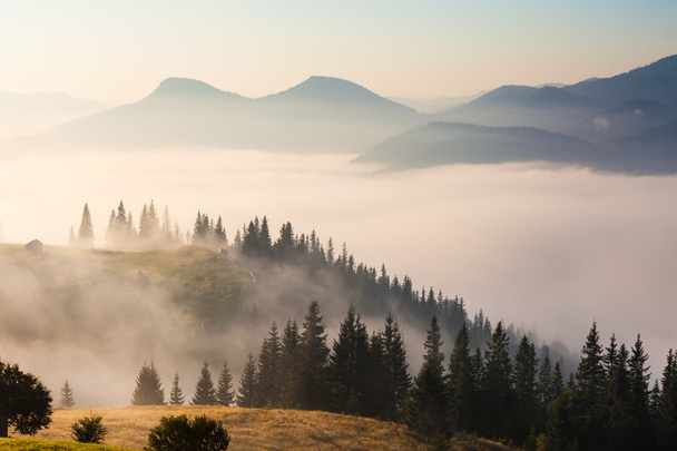 mlha na hoře - Fotografie, Obrázek