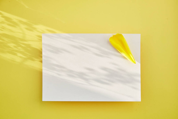 Minimalista tarjeta postal amarilla maqueta con sombras y pétalo amarillo. Delicado concepto del Día de la Mujer. Una postal burlona. Copiar espacio. - Foto, imagen