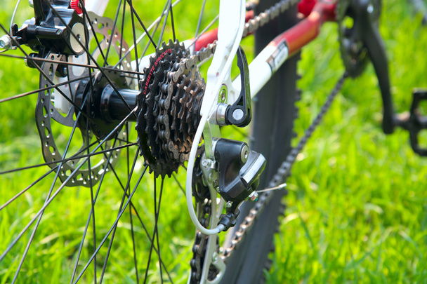 Rear racing bike cassette on the wheel with chain - Foto, Imagen