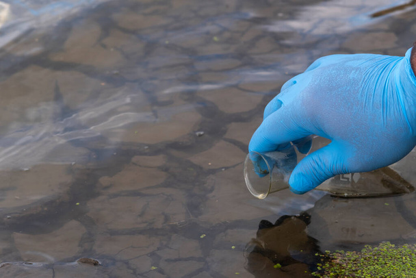 A water sample from the river. Hand in glove collects water in a test tube. ecology concept - Valokuva, kuva