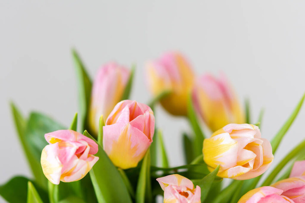 Beautiful spring bouquet of pink tulips close up, holiday flower gift - Fotó, kép