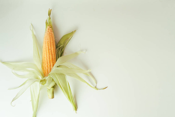 Macro shot of the ears of corn with leaves. Raw yellow cobs of corn on the white background. corn-stick for National Corn on the Cob Day - Zdjęcie, obraz