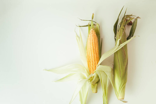 Macro tiro das orelhas de milho com folhas. Espigas amarelas cruas de milho no fundo branco. pau de milho para o milho nacional no dia da espiga - Foto, Imagem