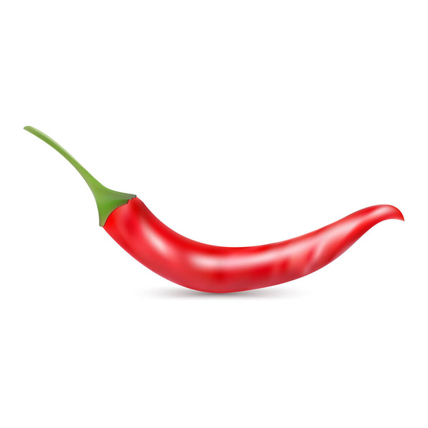 Realistic red hot chili pepper. Template for spice package design, cooking book decoration. Isolated on white background. Vector illustration - Wektor, obraz