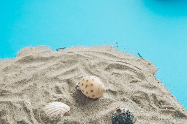 Béžové skořápky rozptýlené na šedém písku na modrém pozadí - Fotografie, Obrázek