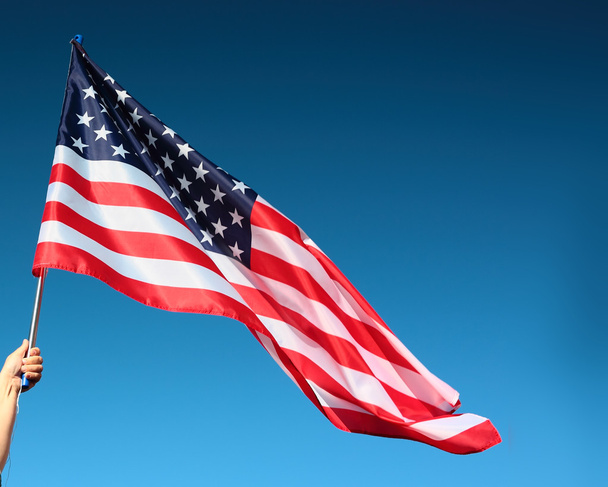 Hand holding american flag - Foto, Imagen