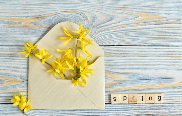 Bonjour le printemps. Lettres en bois PRINTEMPS et fleurs jaunes à l'intérieur de l'enveloppe sur fond blanc. Copier spase. - Photo, image