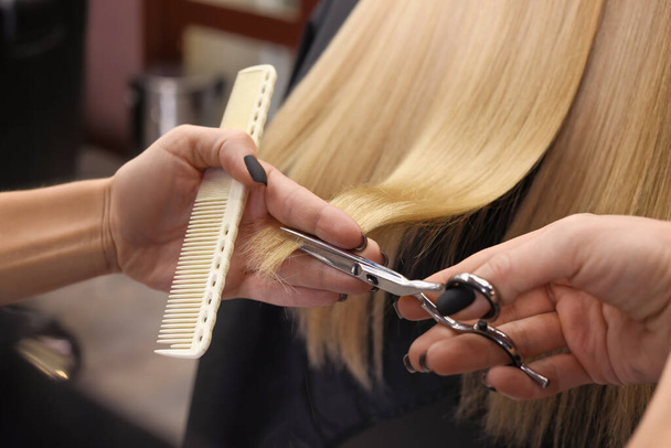 Professional hairdresser cutting woman's hair in salon, closeup - Фото, зображення