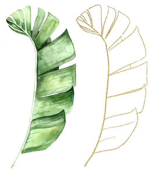 Зелений і золотий акварельний тропічний банан листя ілюстрації. Елегантний елемент для весільного дизайну, вітальних листівок та ремесел, місце для тексту
 - Фото, зображення