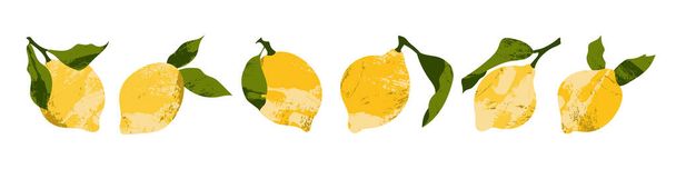Juicy lemon. Fresh citrus fruit, healthy organic food. Ripe yellow fruits with leaves. Vector flat cartoon botanical illustration - ベクター画像