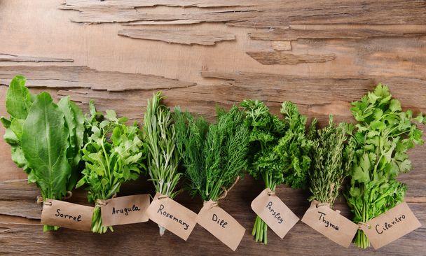 Different fresh herbs - Фото, изображение