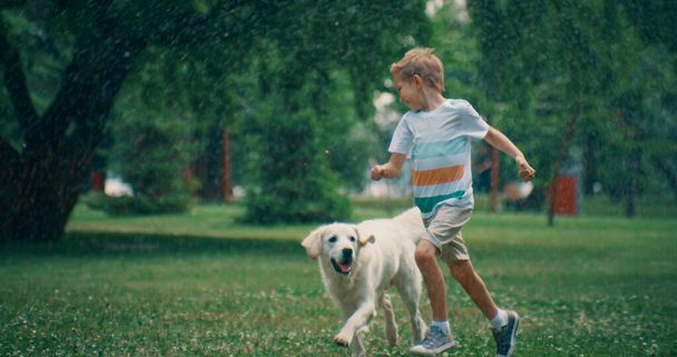 Vreugdevolle kleine jongen loopt golden retriever spelen samen in de zomer park. - Foto, afbeelding