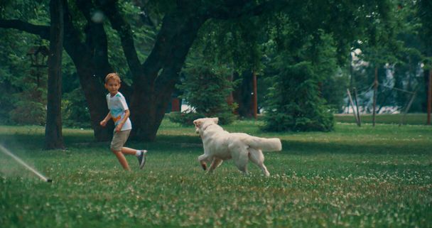 Leikkisä koira jahtaa pieni poika pelata yhdessä veden sprinklerit kesäpuistossa. - Valokuva, kuva