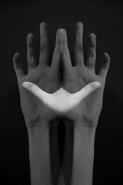 Refined and elegant hands of a dancer, dancing with body parts, black and white portrait of the performer's hands on a dark background - Photo, image