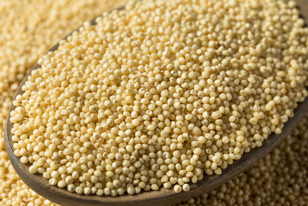 Raw Dry Organic Millet Grain Ready to Cook - Photo, image